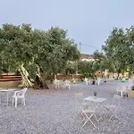 Evis Ποτός